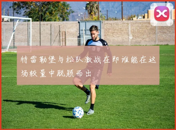 特雷勒堡与松队激战在即谁能在这场较量中脱颖而出