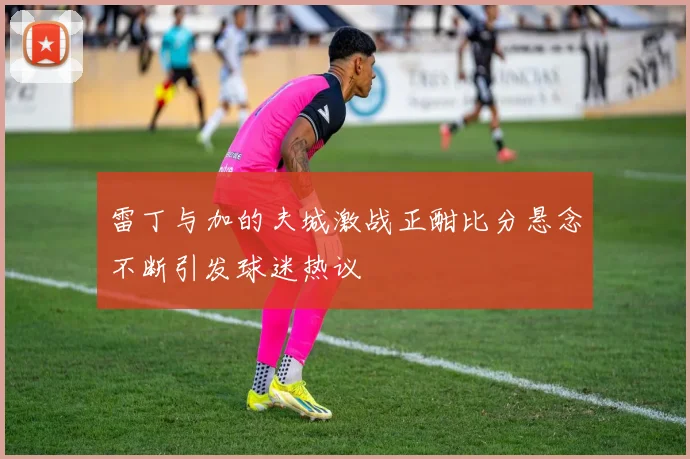 雷丁与加的夫城激战正酣比分悬念不断引发球迷热议