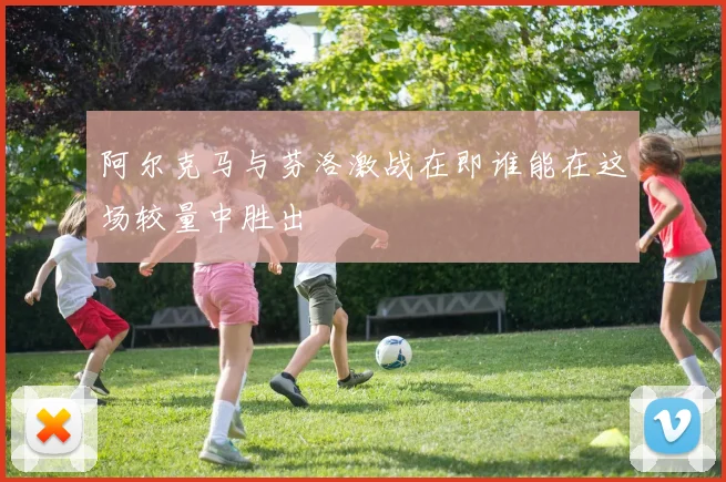 阿尔克马与芬洛激战在即谁能在这场较量中胜出