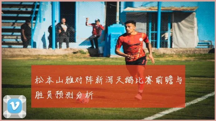 松本山雅对阵新泻天鹅比赛前瞻与胜负预测分析